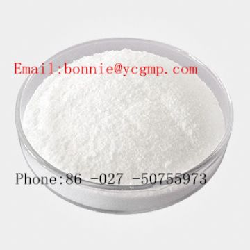 Creatine Monohydrate    With Good Quality